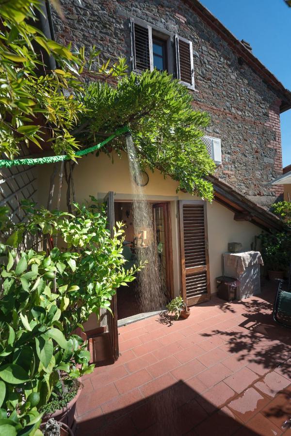 The Hill Terrace Apartment Massa  Exterior photo